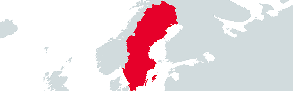 Digital Fraud in Sweden
